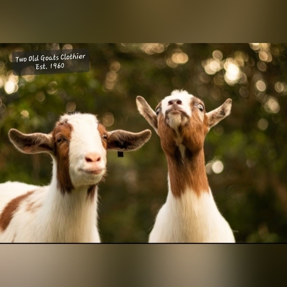 Macroscope by Mayday Games - Picture 15 of 15